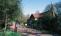 outside a lovely house, surrounded by trees